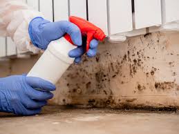 Mold Remediation for Vacation Homes in Mansfield, MO